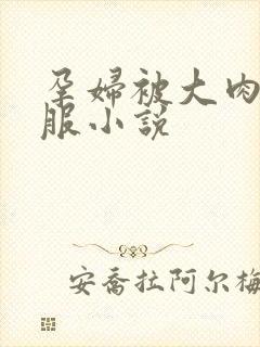 孕妇被大肉楱征服小说封面