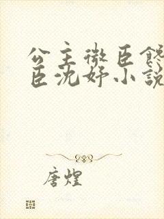 公主微臣馋了微臣沈妤小说