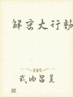 解密大行动