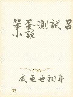 笨蛋测试召唤兽小说