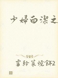 少妇白洁之封面