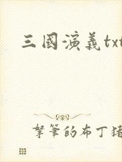 三国演义txt封面