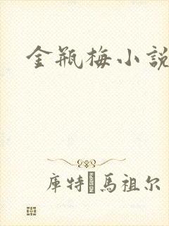 金瓶梅小说在线