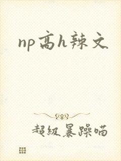 np高h辣文