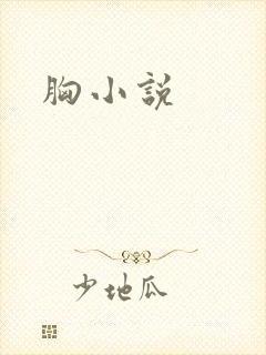 胸小说