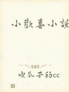 小欢喜小说