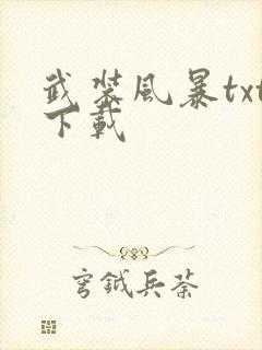 武装风暴txt下载