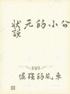 状元的小公主小说封面