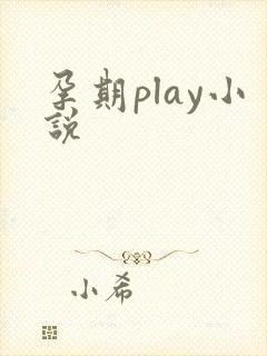 孕期play小说