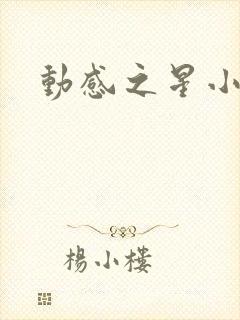 动感之星小蝶封面