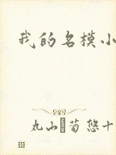 我的名模小娇妻