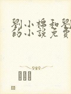 刘小棉和刘易文的小说免费阅读