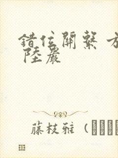 错位关系 方糖 陆岩