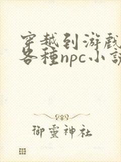 穿越到游戏里和各种npc小说