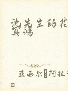 沈先生的花式调冥鸿封面