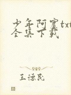 少年阿宾txt全集下载封面