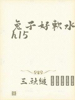 兔子好软水好多h15