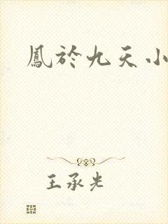 凤于九天小说