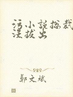 污小说总裁整夜没拔出封面