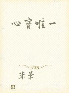 心宝唯一