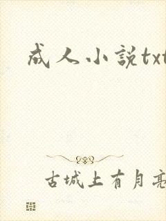 成人小说txt