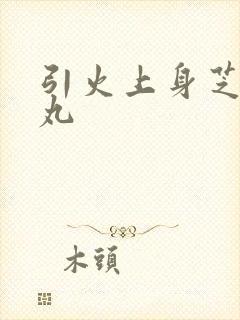 引火上身芝麻糖丸封面