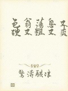 色翁荡息又大又硬又粗又爽