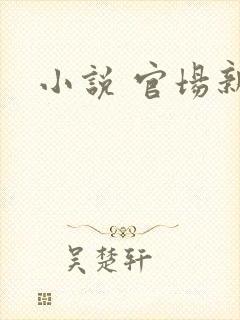 小说 官场新贵封面