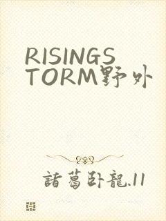 RISINGSTORM野外