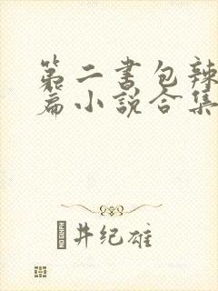 第二书包辣网短篇小说合集封面