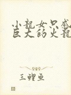 小龙女只感觉那巨大的火龙枪