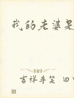 我的老婆是军阀