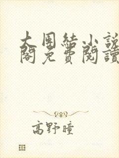 大团结小说笔趣阁免费阅读