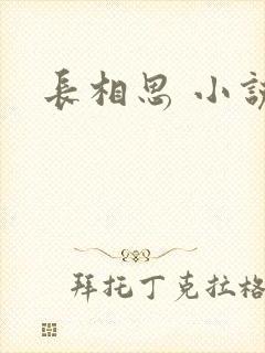 长相思 小说