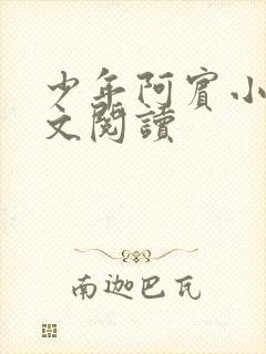 少年阿宾小说全文阅读