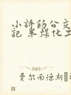 小诗的公交车日记 半煤化工
