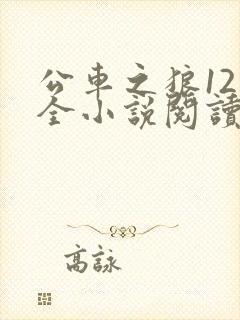 公车之狼12集全小说阅读