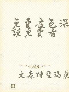 免费夜色深处小说免费看封面