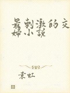 最刺激的交换夫妇小说