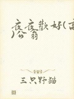 夜夜欢好(高h)公翁