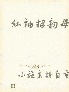 红袖招韵母攻略