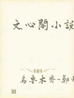 文心阁小说