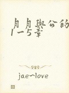 月月与公的激情1一5章