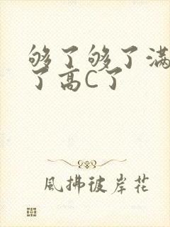 够了够了满到C了高C了