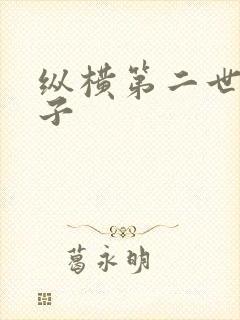 纵横第二世界宽子