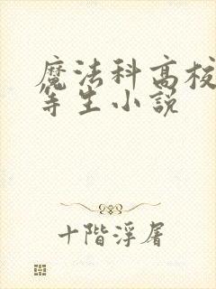 魔法科高校的劣等生小说