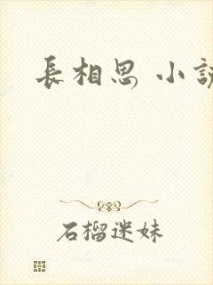 长相思 小说封面