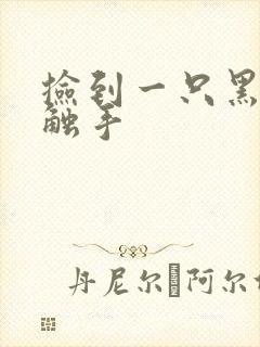 捡到一只黑心小触手封面