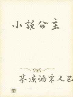小说公主