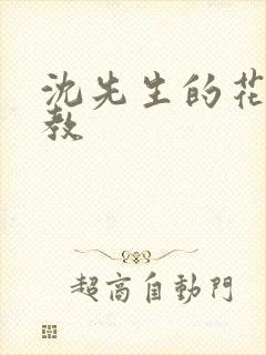 沈先生的花式调教